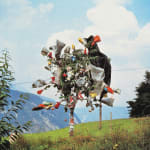 Lois Weinberger, Untitled (Pumpkin), 1978