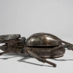 Helen Denerley, Rhinoceros Beetle