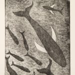 PAUL BLOOMER | whale song | kilmorack gallery