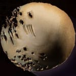 Thumbnail of additional image