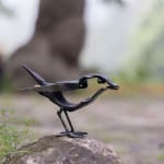 Charles MacQueen RSW RGI, Sea Mist, Morning