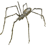 Helen Denerley, Spider, 2023