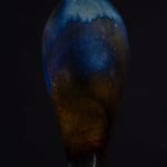 Kirstie Cohen, Autumn Sun, 2024