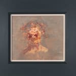 Anthony Scullion, Violet Study, 2024