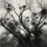 Tansy Lee Moir, Sprig, 2025