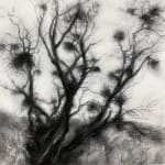 Tansy Lee Moir, Sprig, 2025