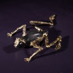 Helen Denerley, Beetle Specimen Box, 2023