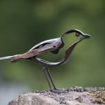 Small BIrd Helen Denerley