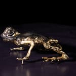 Helen Denerley, Beetle Specimen Box, 2023