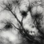 Tansy Lee Moir, Sprig, 2025