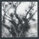 Tansy Lee Moir, Sprig, 2025