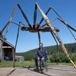Helen Denerley Giant spider