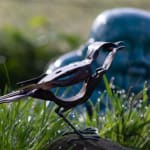 Salvage Bird Helen Denerley
