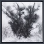 Tansy Lee Moir, Sprig, 2025