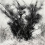 Tansy Lee Moir, Sprig, 2025