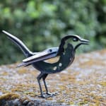 Helen Denerley Blackbird