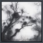 Tansy Lee Moir, Sprig, 2025