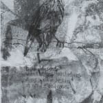 Helen Denerley, Spider, 2023
