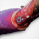 Katja Novitskova, Earthware (mirror octopus 04), 2025