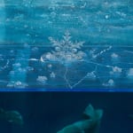 Trey Abdella, When Hell Freezes Over, 2025