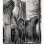 Sverre Malling, Peacock with Skulls and Bones, 2025