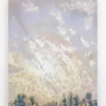 Martine Poppe, Diaphora, 2014