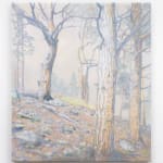 Martine Poppe, Diaphora, 2014