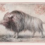 Sverre Malling, Peacock with Skulls and Bones, 2025