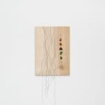 Tonico Lemos Auad, Venus, 2023