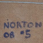 MIchael Norton, 2008 #5