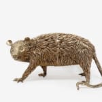 Lorenzo Lorenzetti, Opossum watching