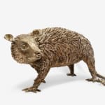 Lorenzo Lorenzetti, Opossum watching