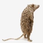 Lorenzo Lorenzetti, Opossum with Open Hand