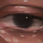 Jen DeLuna, A Cut Above, 2025