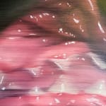 Jen DeLuna, A Cut Above, 2025