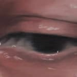 Jen DeLuna, A Cut Above, 2025