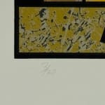 Mavis Pusey, The City of Distracting Images