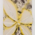 Tiago Tebet, Banana Hemisphere, 2023