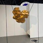 Irina Rasquinet, Vertige immobile, 2024