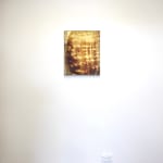 Anna Higgins, Portrait (Field) , 2025