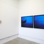Heidi Brickell, Whenua Wheiao Time-lapse, 2024