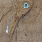 Atarangi Anderson, Te Manaia Paikea, 2025