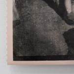 Timothy Webby, Untitled (Lilies), 2025