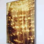 Anna Higgins, Portrait (Field) , 2025