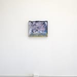Laura Williams, Withering Gaze l