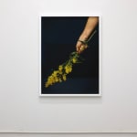 Laura Williams, Respite: Headfirst, 2024