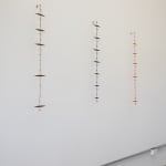 Laura Williams, Withering Gaze l