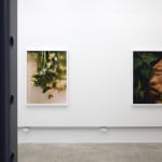 Laura Williams, Respite: Headfirst, 2024