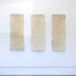 Atarangi Anderson, Te Manaia Paikea, 2025