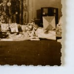 Timothy Webby, Untitled (Lilies), 2025